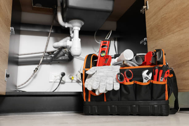 Best Clogged Drain Plumber  in Friend, NE